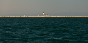 Dungeness Spit Light House